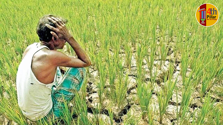 নতুন কৃষি আইন: ফড়েরা যা হারাবে তা কি চাষি পাবে?