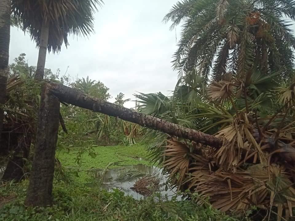 মানুষ প্রেমের ধর্ম গড়ো