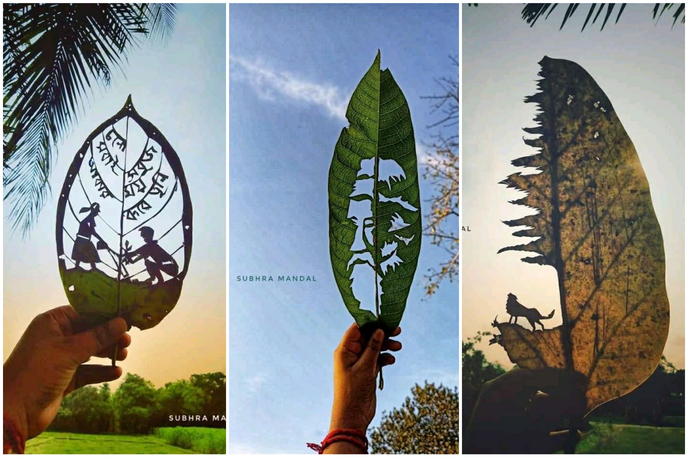 শুকনো পাতায় শিল্পরস
