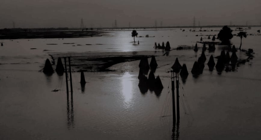 ম্যানগ্রোভই বাঁচাতে পারে দক্ষিণবঙ্গকে