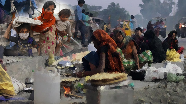 রুটি