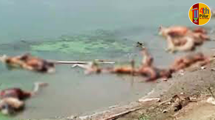 শববাহিনী গঙ্গা